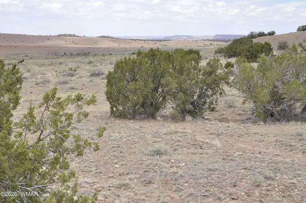 88B County Road 5035, Concho, AZ 85924