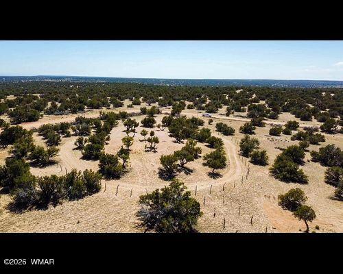 17 N7337, 232, St. Johns, AZ 85936 — Photo 1 of 24
