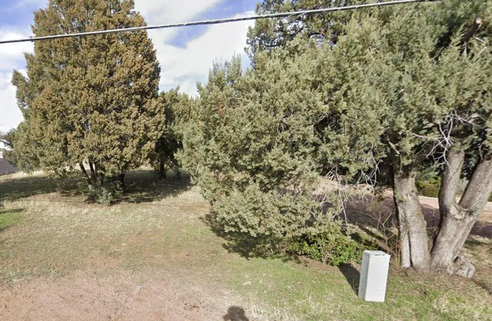 1503 N Bradley Drive Drive, Payson, AZ 85541 — Photo 1 of 1