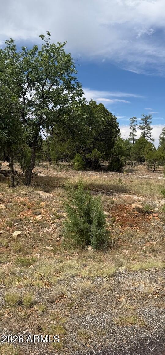 2989 ROBIN Lane 0, Happy Jack, AZ 86024 — Photo 1 of 4
