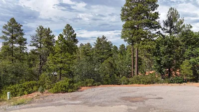7026 Leo Lane, Lakeside, AZ 85929