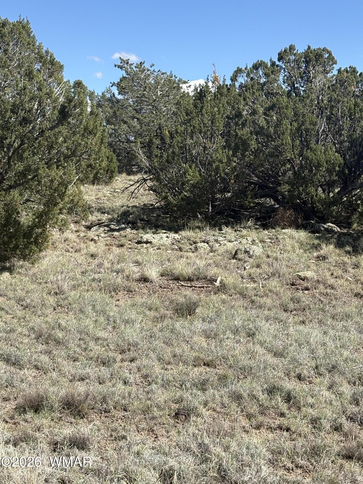 10 NE Kirkwood (N8715), Concho, AZ 85924 — Photo 1 of 5