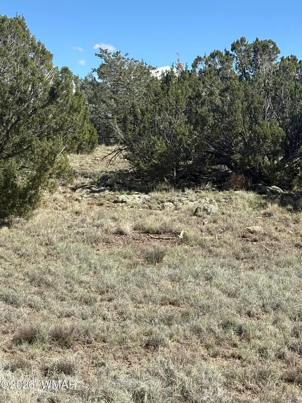 10 NE Kirkwood (N8715), Concho, AZ 85924
