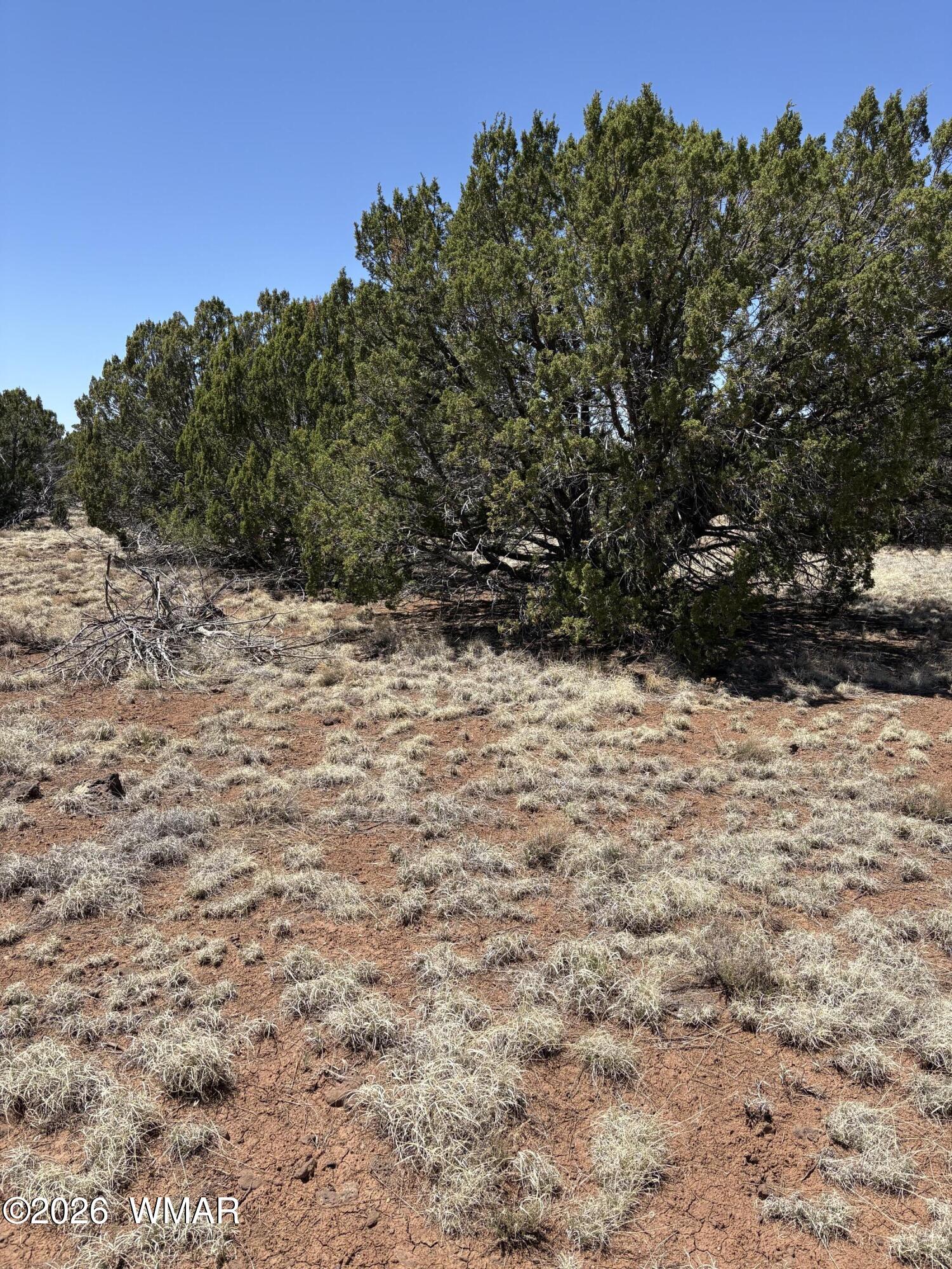 20 SE Kirkwood , N8715 Road, Concho, AZ 85924 — Photo 1 of 5