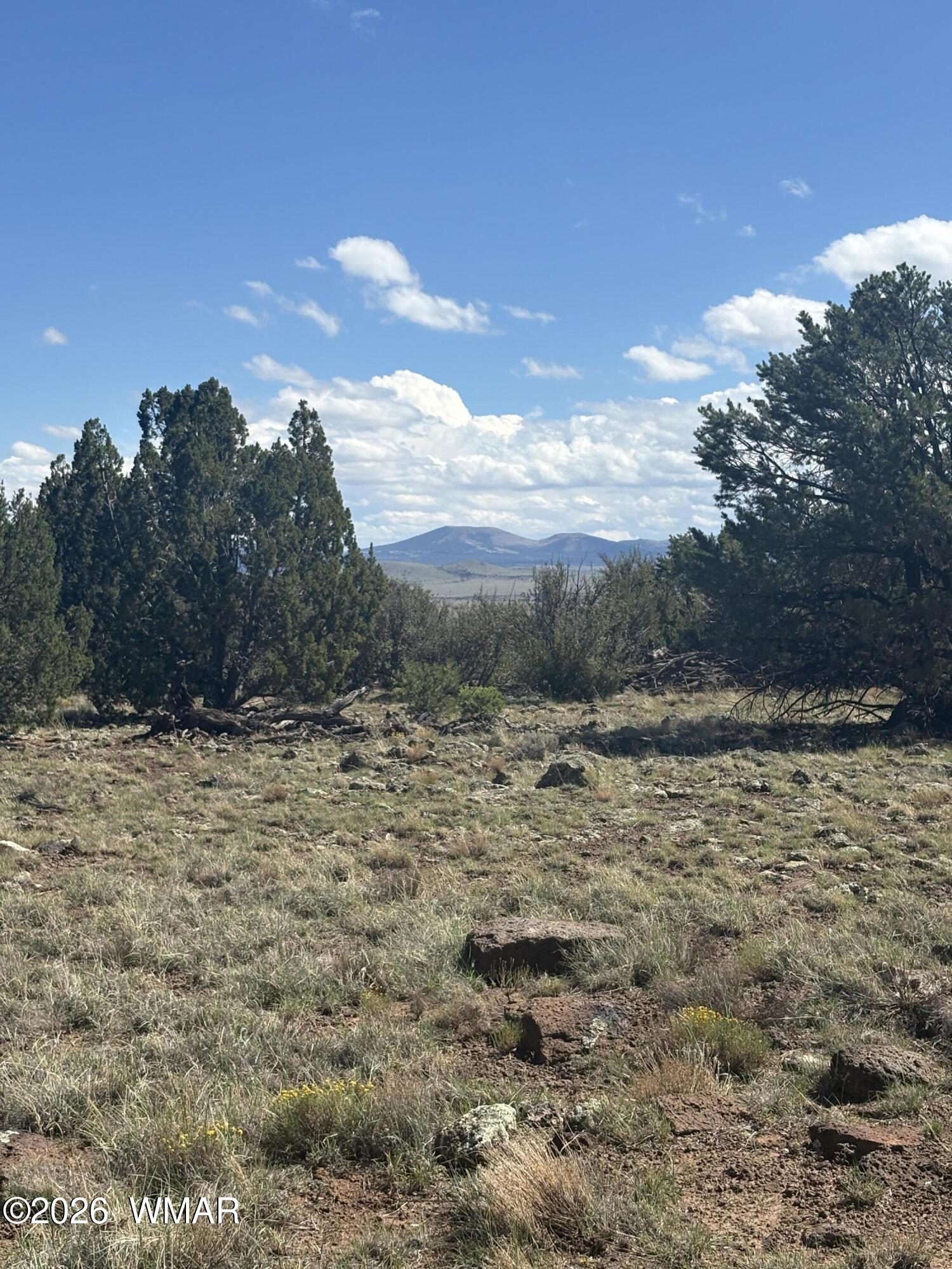 0201 County Road, Concho, AZ 85924 — Photo 1 of 5