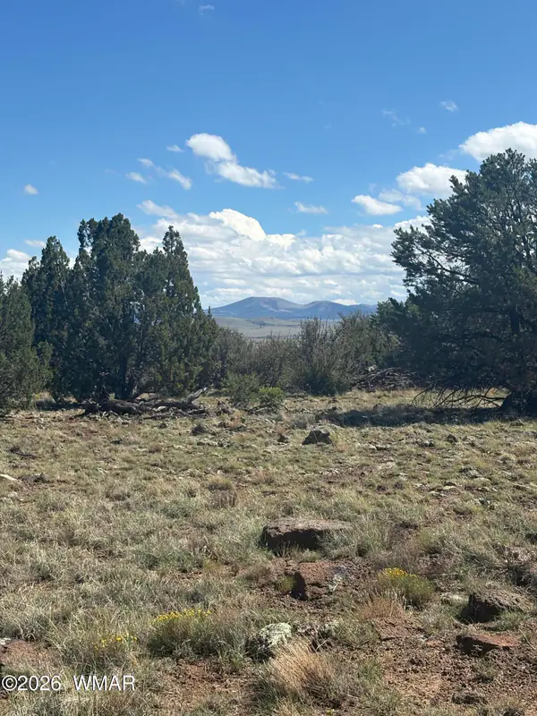0201 County Road, Concho, AZ 85924