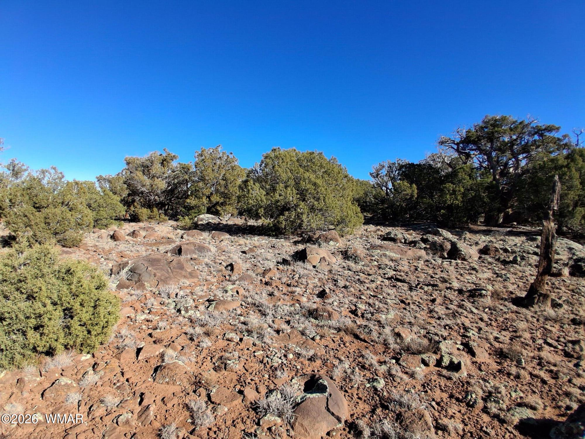 0202 County Road, Concho, AZ 85924 — Photo 1 of 5