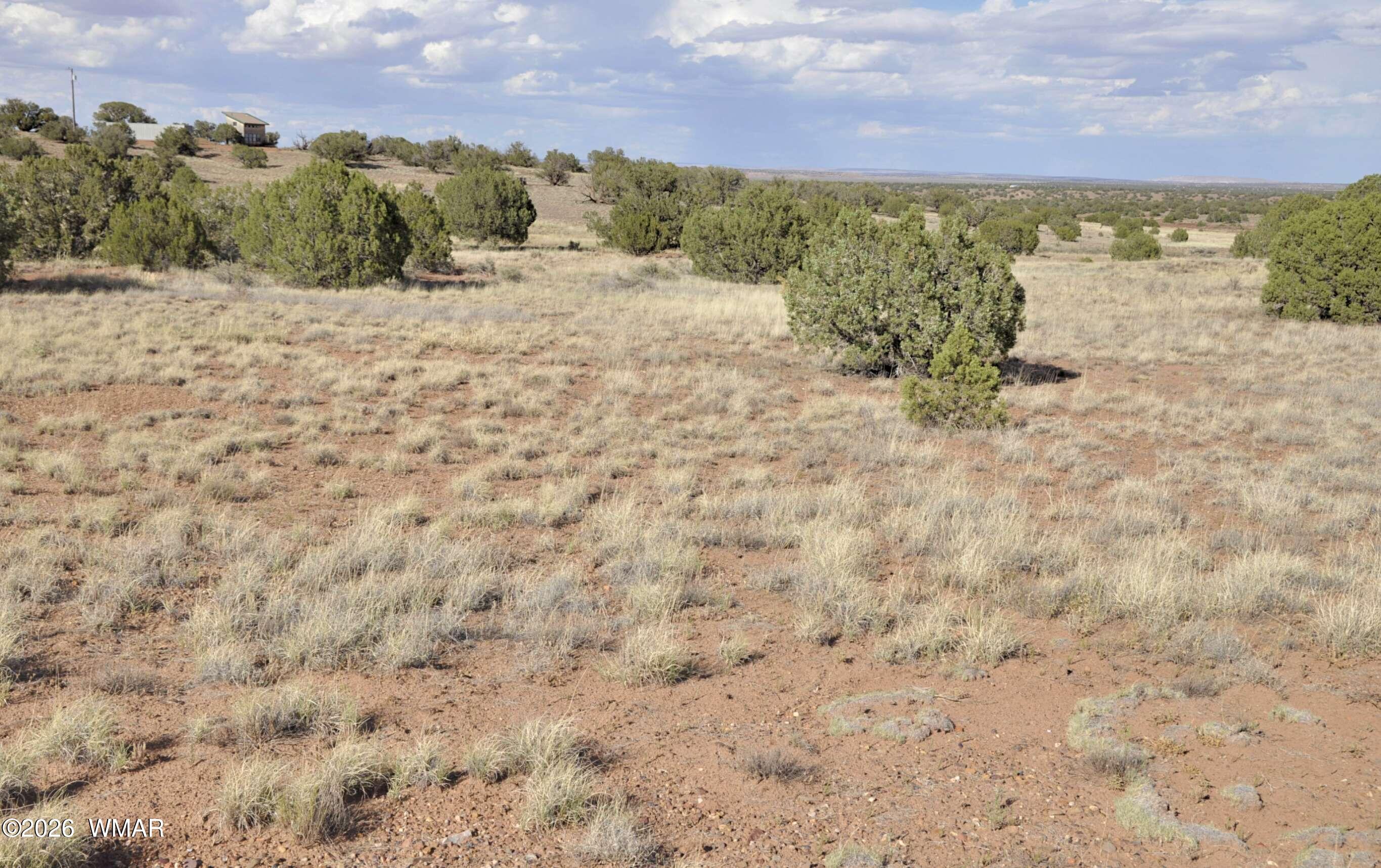10 N9228, Concho, AZ 85924 — Photo 1 of 29