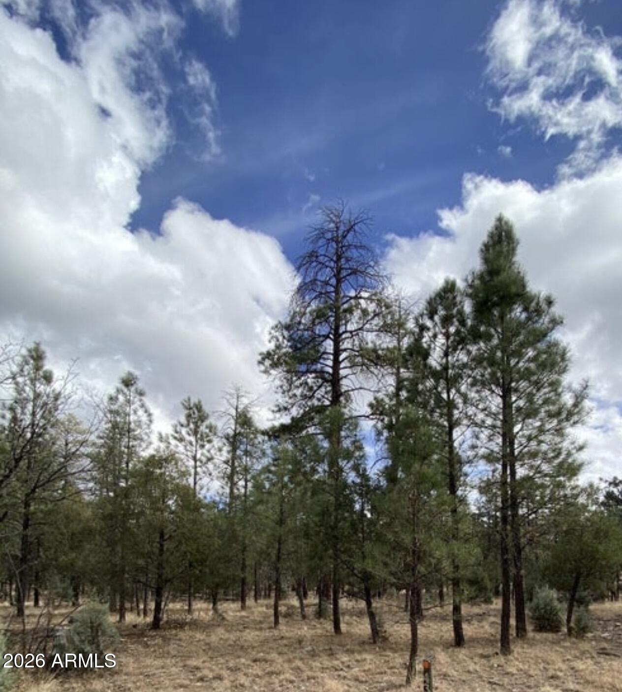 4395 JACK PINE Place 146, Happy Jack, AZ 86024 — Photo 1 of 5