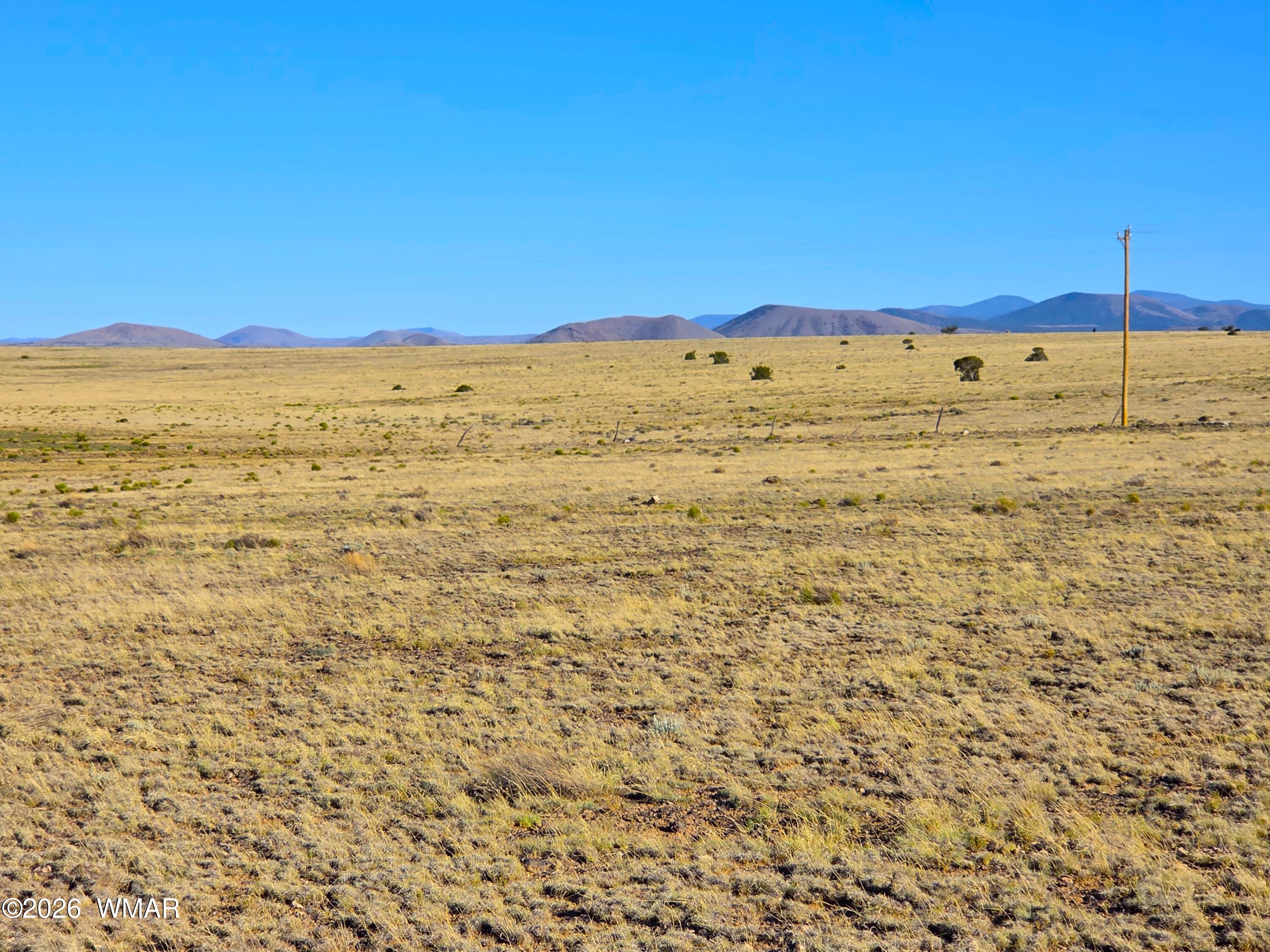 Lot 4 CR 5074, Concho, AZ 85924 — Photo 1 of 20