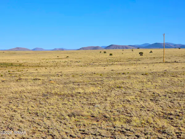 Lot 4 CR 5074, Concho, AZ 85924