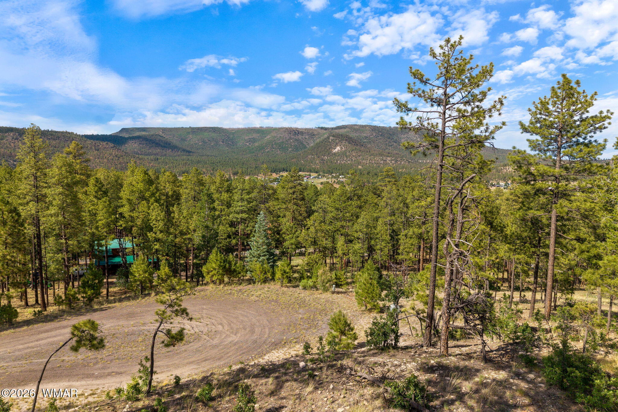 000 CR 2193, LOT 32, Alpine, AZ 85920 — Photo 1 of 20