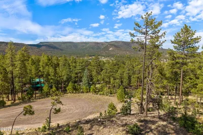 000 CR 2193, LOT 32, Alpine, AZ 85920
