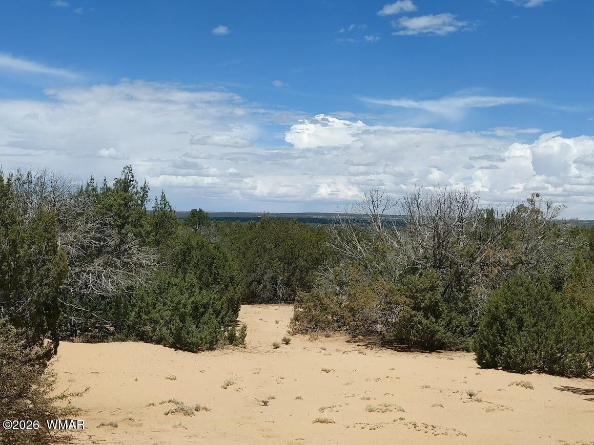 Lot 106 Witch Well Ranches, N7212 2, St. Johns, AZ 85936 — Photo 1 of 10