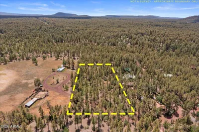 TBD S HILL Drive -, Pinetop, AZ 85935