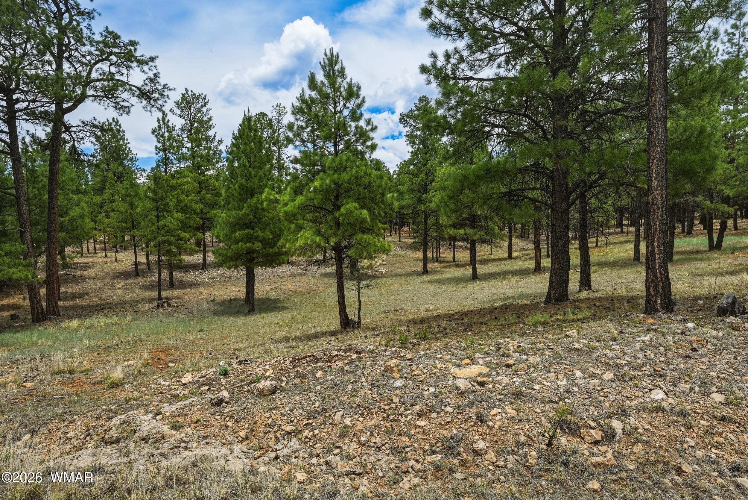 2799 Cherokee Way, Happy Jack, AZ 86024 — Photo 1 of 48