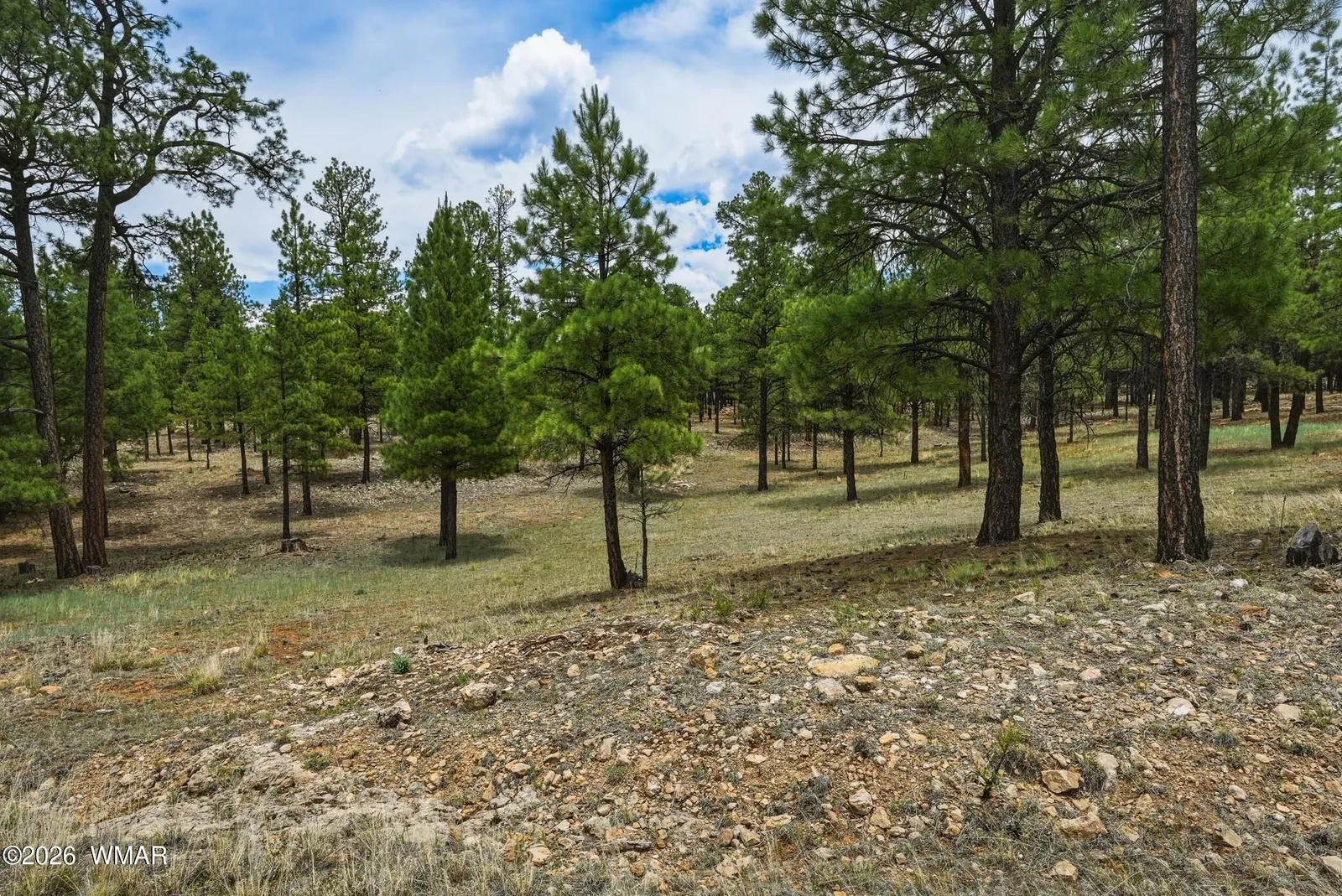2799 Cherokee Way, Happy Jack, AZ 86024 — Photo 1 of 48