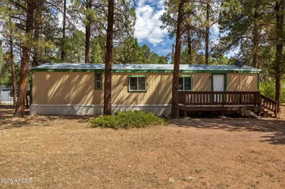 2175 Ruby Lane, Overgaard, AZ 85933
