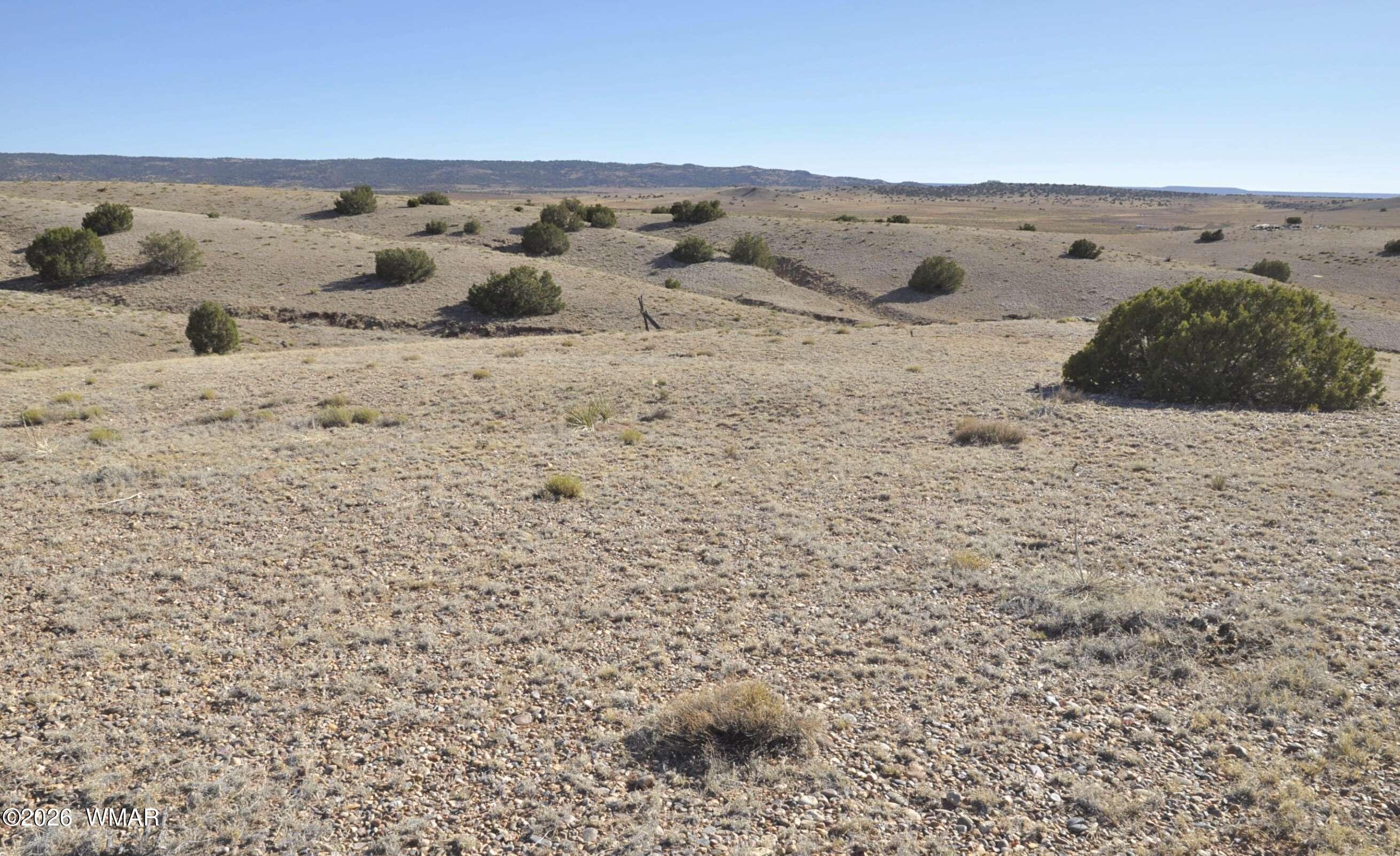 986 Concho Highway, CR 5020, Concho, AZ 85924 — Photo 1 of 30
