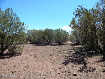8337 Navajo Drive, Show Low, AZ 85901