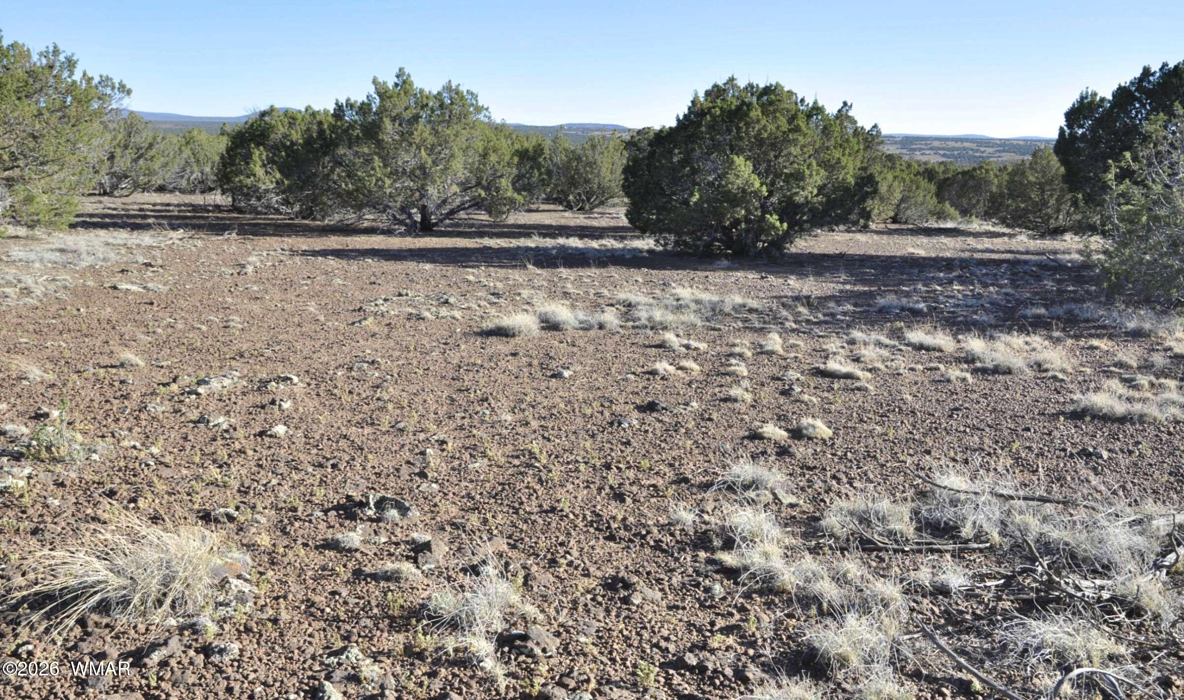 17C Gampel Lane, Show Low, AZ 85901 — Photo 1 of 19