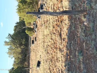 Thumbnail 29