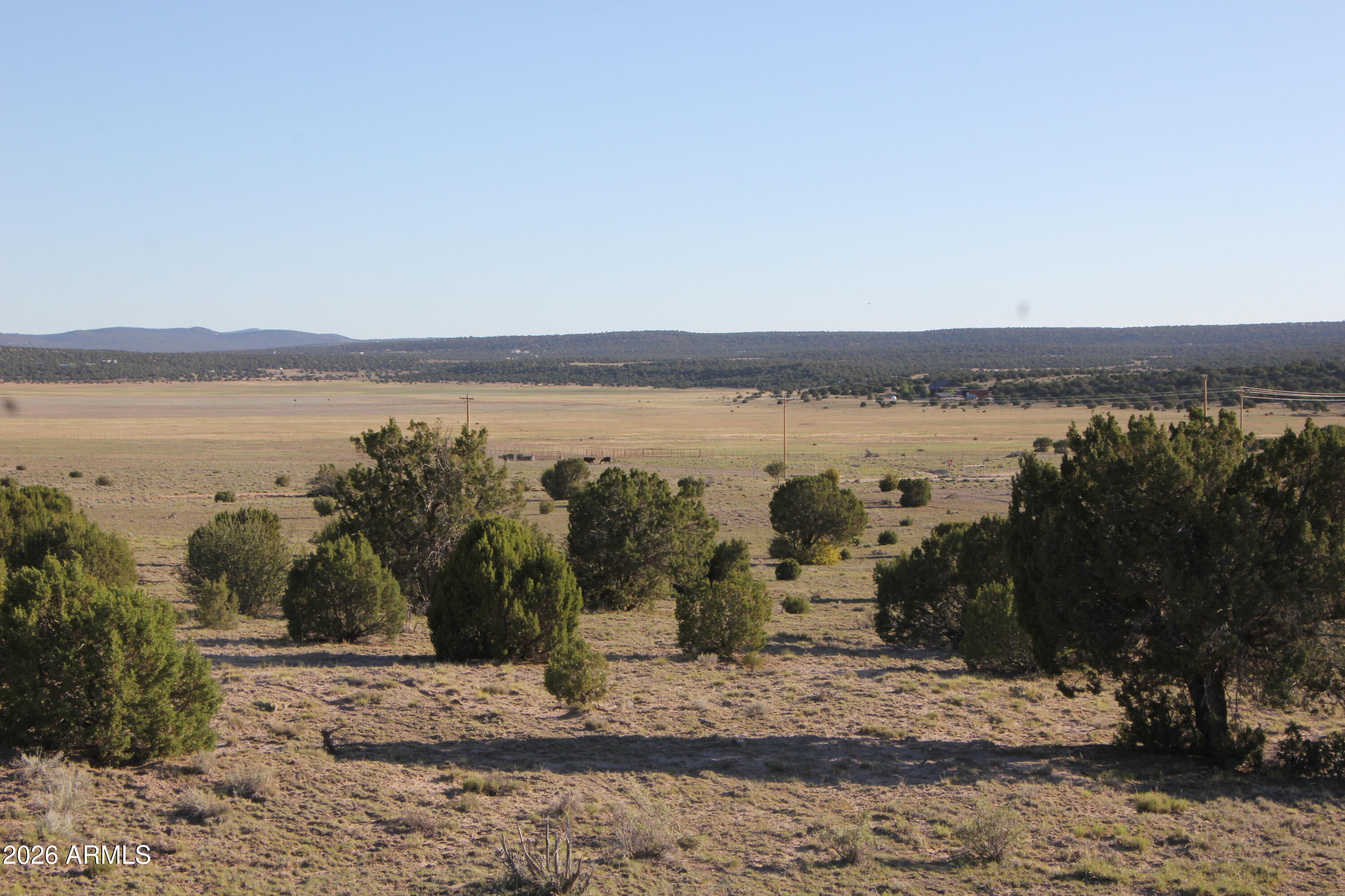 8500 TBD County Road 8500 Road 43, Concho, AZ 85924 — Photo 1 of 11