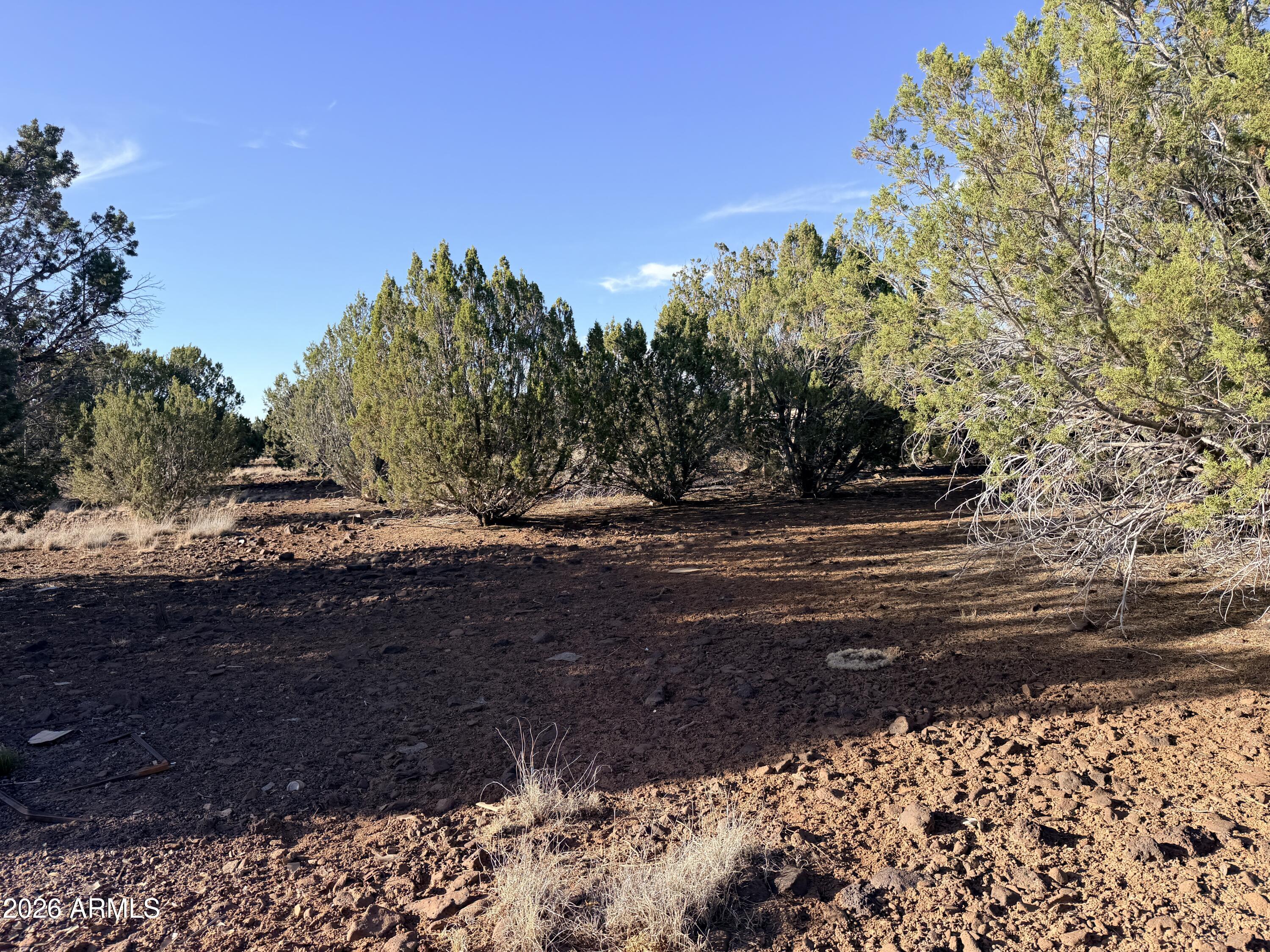 9070 PINTO Trail -, Show Low, AZ 85901 — Photo 1 of 16