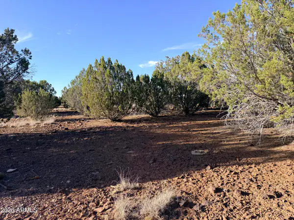 9070 PINTO Trail -, Show Low, AZ 85901