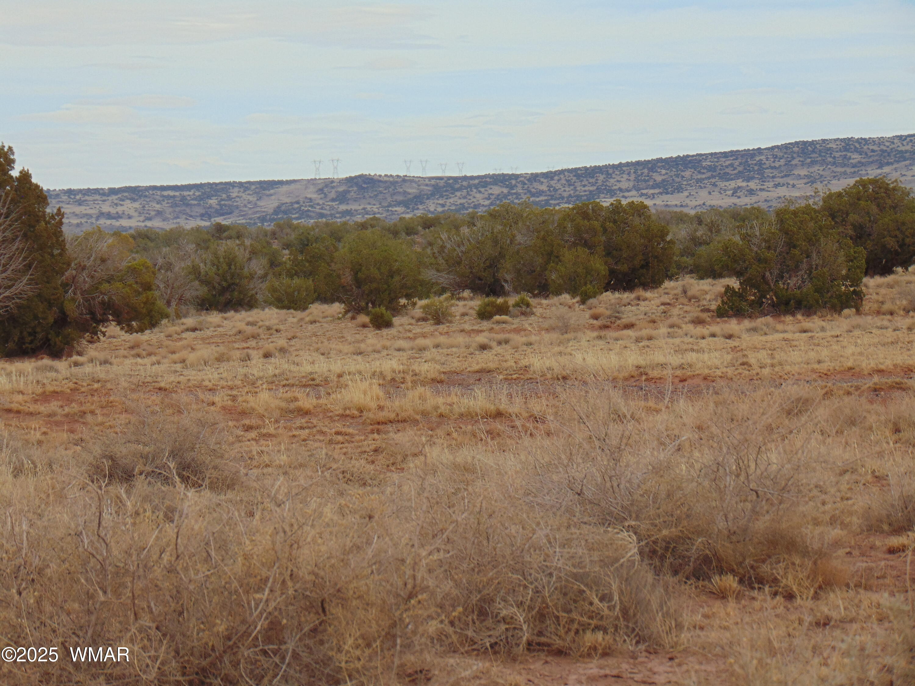 42 N5576, 42 ACR N5576, Concho, AZ 85924 — Photo 1 of 27
