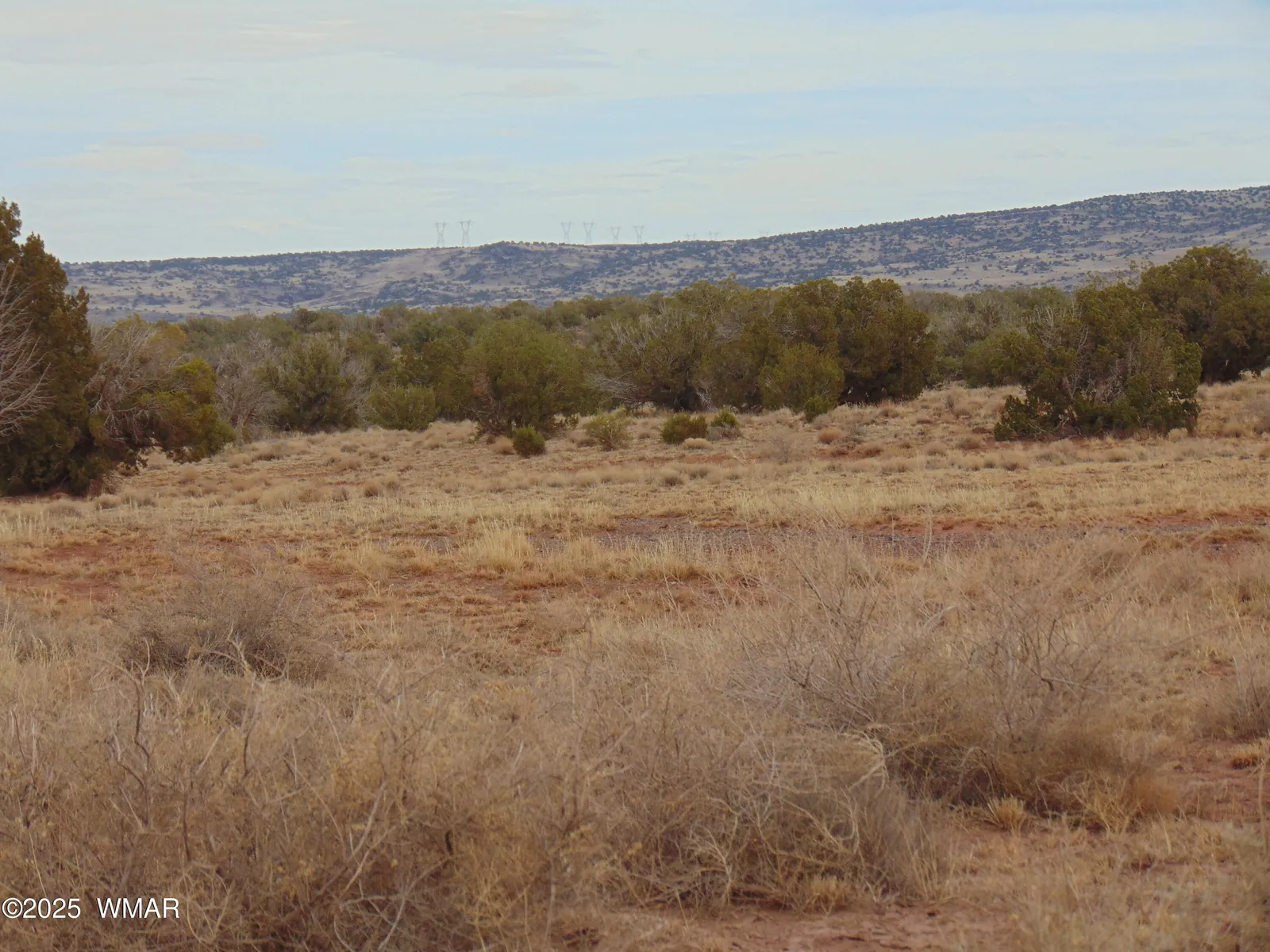 42 N5576, 42 ACR N5576, Concho, AZ 85924 — Photo 1 of 27