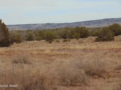 42 N5576, 42 ACR N5576, Concho, AZ 85924