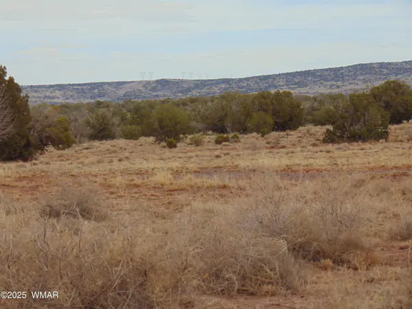 42 N5576, 42 ACR N5576, Concho, AZ 85924