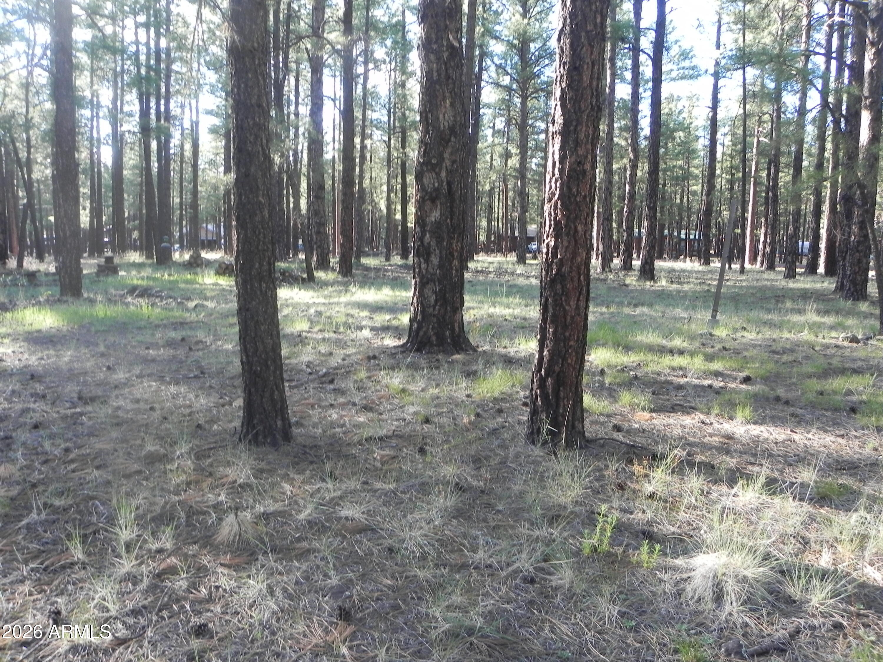 7606 E JOLLY ROGUE Lane 162, Williams, AZ 86046 — Photo 1 of 4