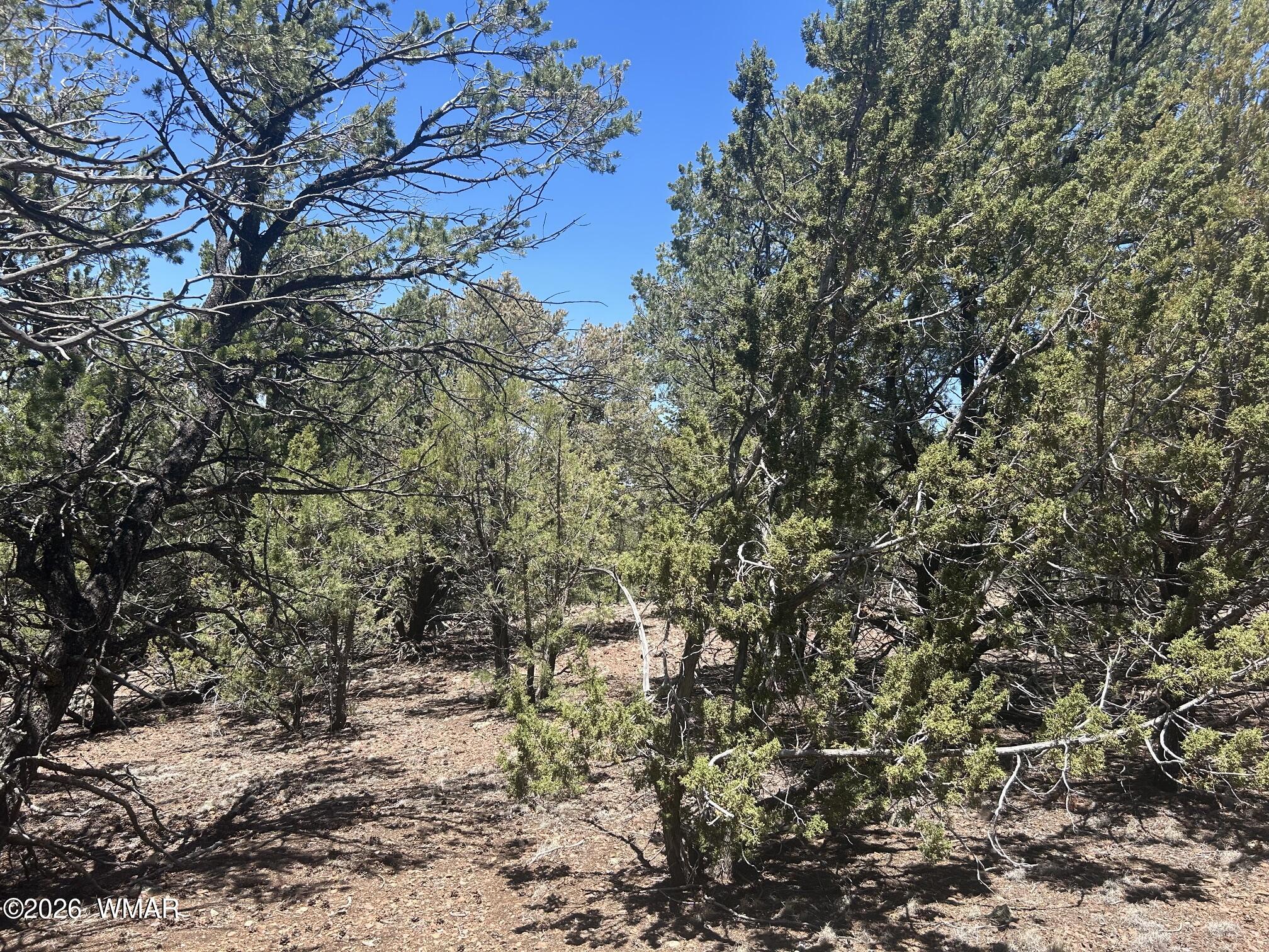 TBD LOT 37K, Vernon, AZ 85940 — Photo 1 of 21