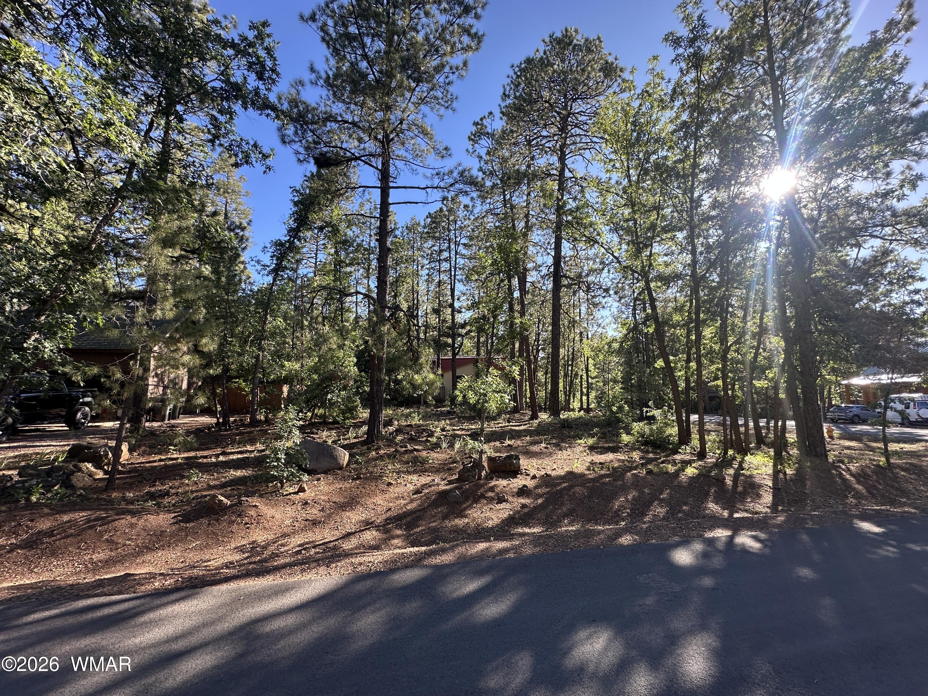 6001 Pitch Fork Lane, Pinetop, AZ 85935 — Photo 1 of 14