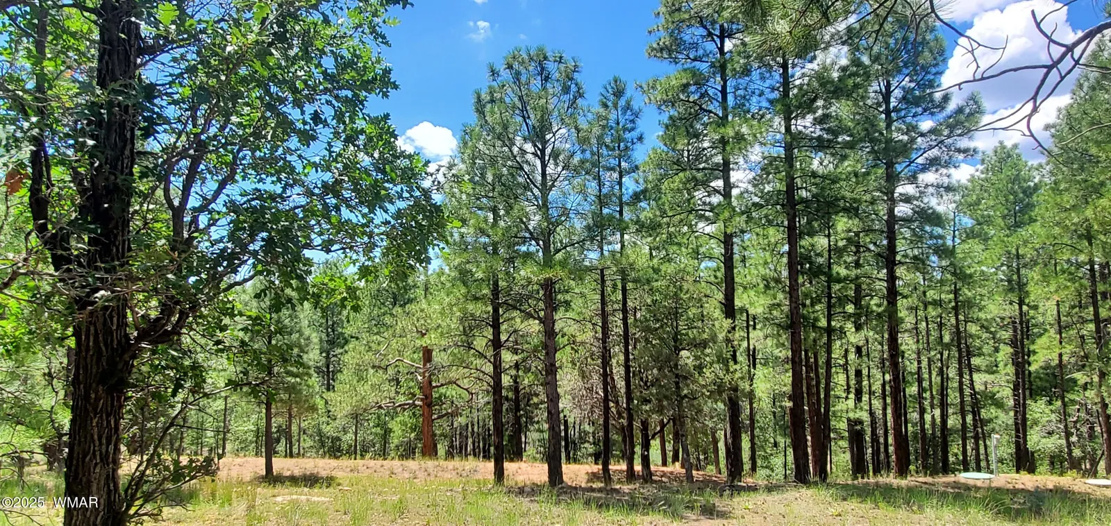 2526 WELL WATER Road 322, Happy Jack, AZ 86024 — Photo 1 of 36