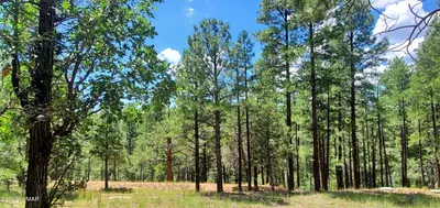 2526 WELL WATER Road 322, Happy Jack, AZ 86024