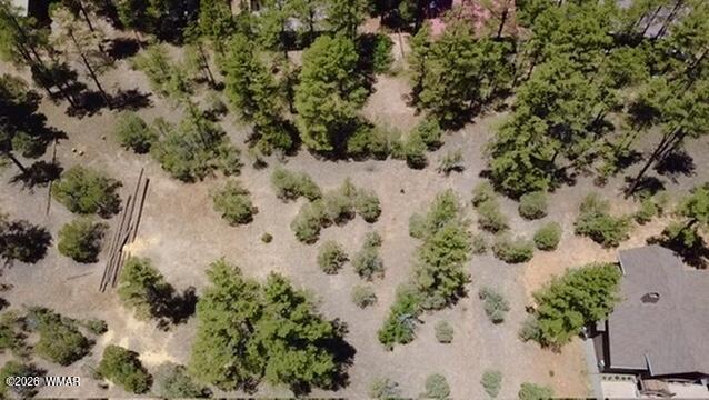 1180 S Lakeside Trail, Show Low, AZ 85901 — Photo 1 of 7