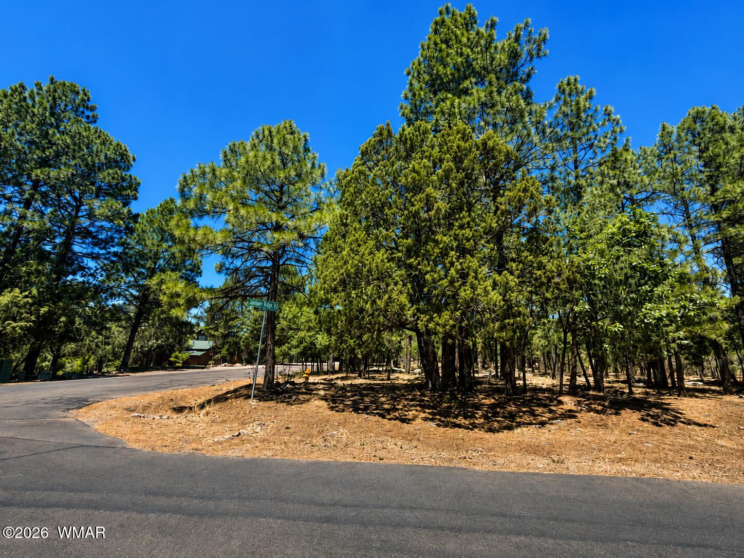 711 Pine Creek Drive, Lakeside, AZ 85929 — Photo 1 of 8