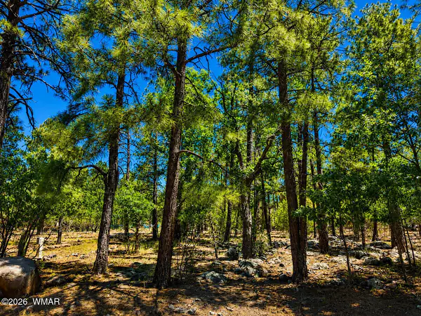 731 Pine Creek Drive, Lakeside, AZ 85929