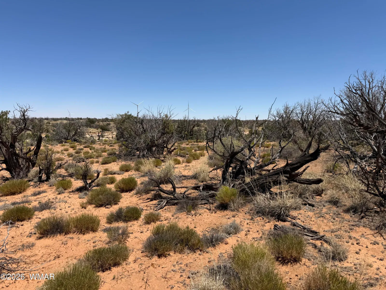 Lot 276 Chev Canyon Ranch #3, Heber, AZ 85928 — Photo 1 of 18