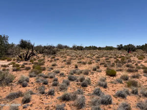 Lot 276 Chev Canyon Ranch #3, Heber, AZ 85928
