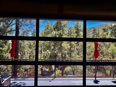 6719 W Pine Cone Trail, Pine, AZ 85544