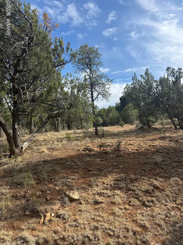 1522 Foxtail Lane, Heber, AZ 85928