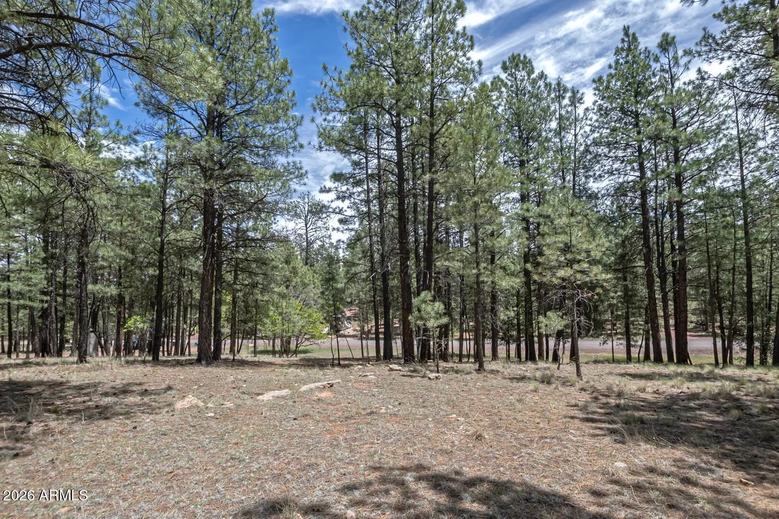 2132 W Pine Valley Road, Happy Jack, AZ 86024 — Photo 1 of 44