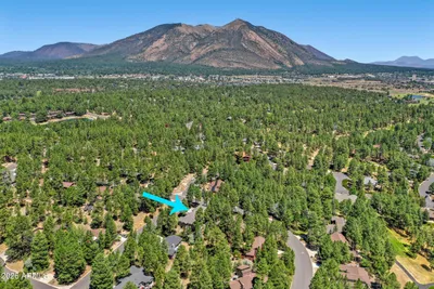 Thumbnail 57