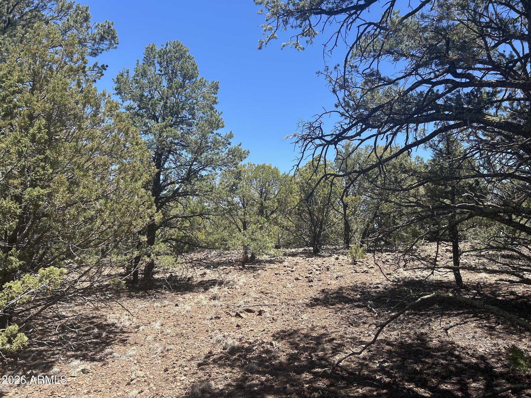 TBD lot 37K 037K, Vernon, AZ 85940 — Photo 1 of 21