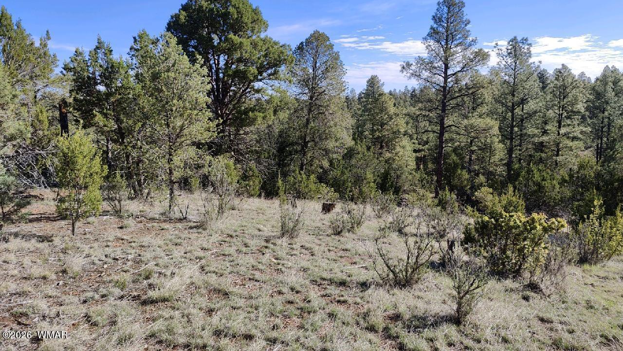 2316 Thunderbird Circle, Overgaard, AZ 85933 — Photo 1 of 5
