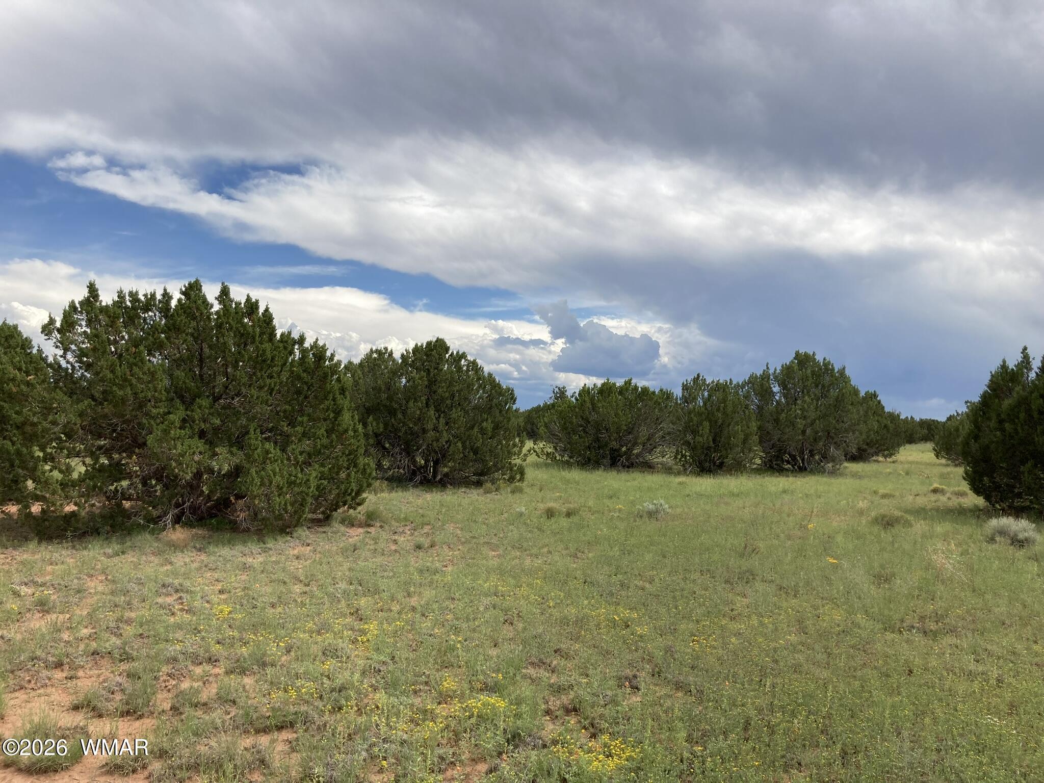 4979 W Tharp Road, Snowflake, AZ 85937 — Photo 1 of 20